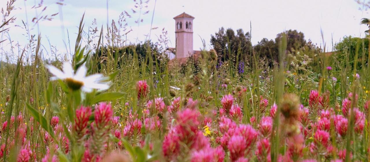 Il Rifugio del Monaco Villa Cividale del Friuli Esterno foto